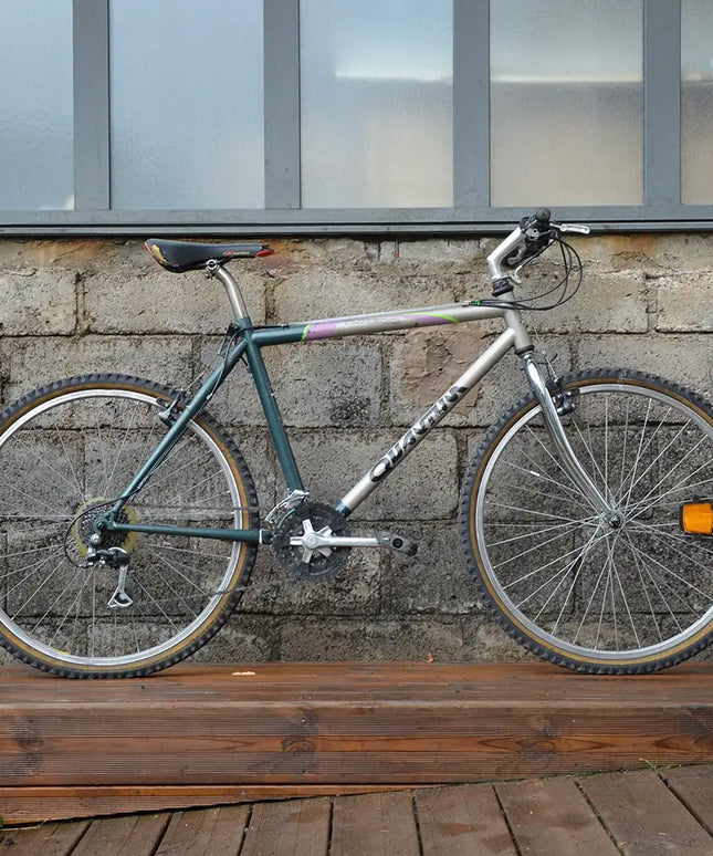 VTT vintage Quantum - Taille S/M