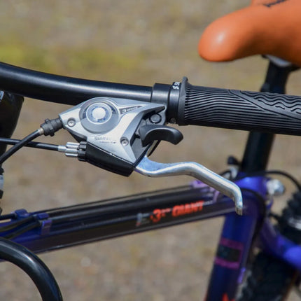 VTT Vintage Giant - Taille S