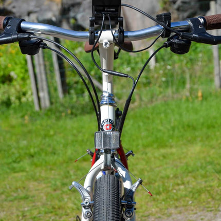 VTT vintage Giant Mulitcol - Taille S/M