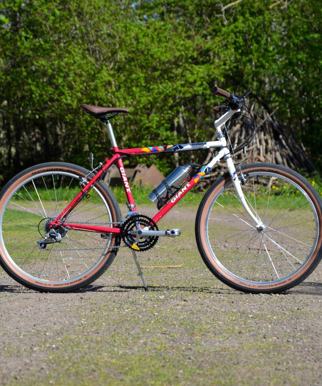 VTT vintage Giant Mulitcol - Taille S/M