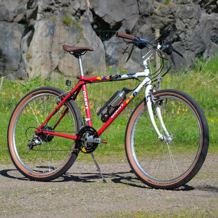 VTT vintage Giant Mulitcol - Taille S/M