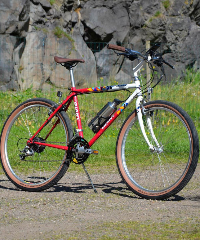 VTT vintage Giant Mulitcol - Taille S/M