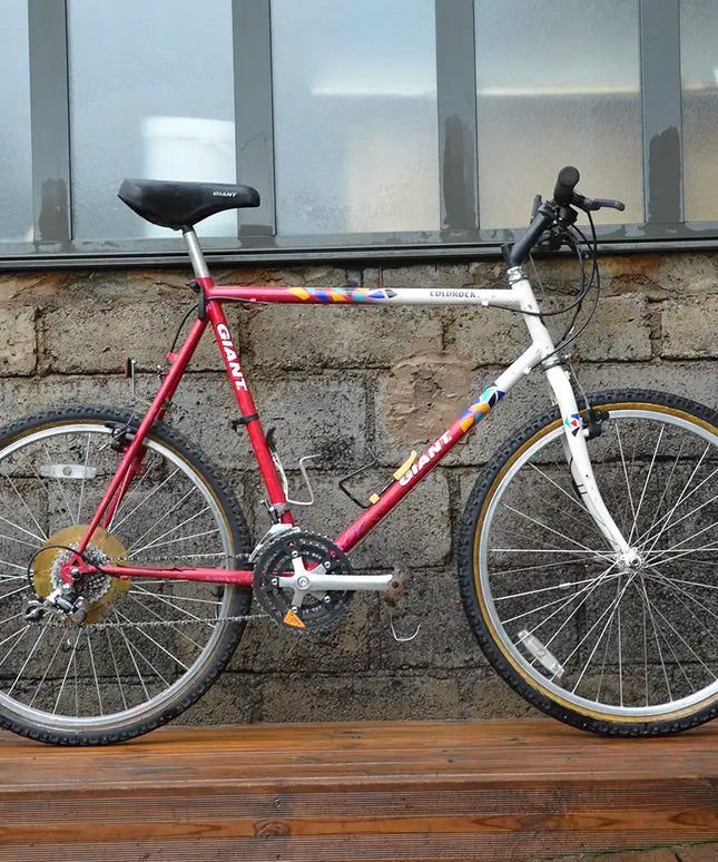 VTT vintage Giant Mulitcol - Taille XL