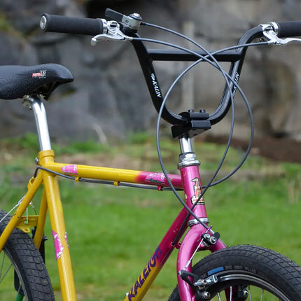 VTT Vintage Raleigh - 24 pouces