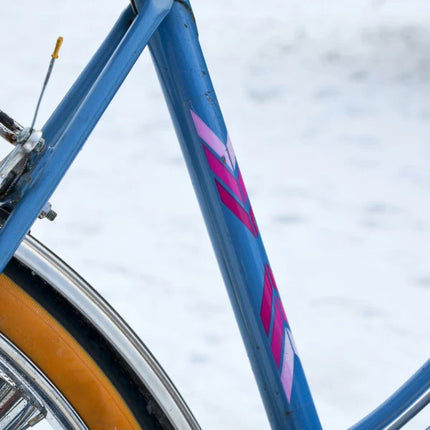 vélo vintage femme ville