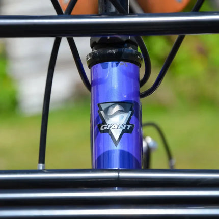 VTT Vintage Giant - Taille S